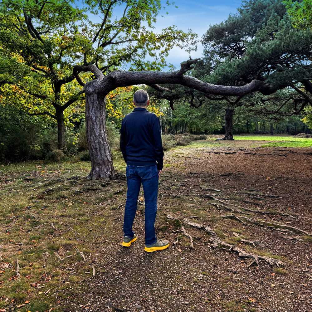 Axiomatic album cover Axiomatic album cover